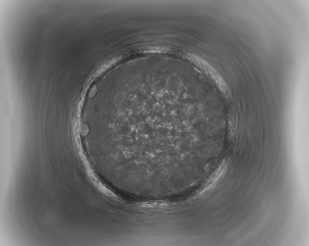 X0000087640721200705101047