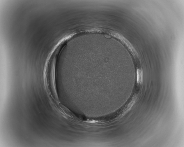 X0000087640723200705101047