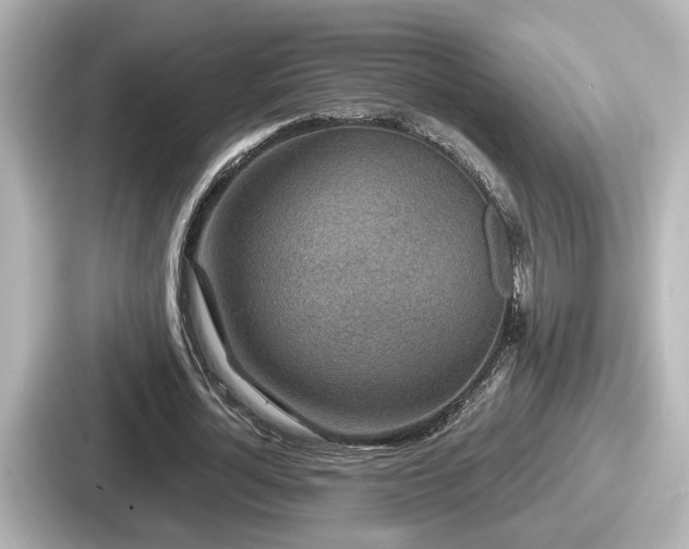 X0000087640724200705101047