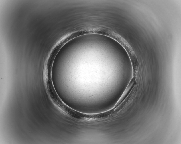 X0000087640726200705101047