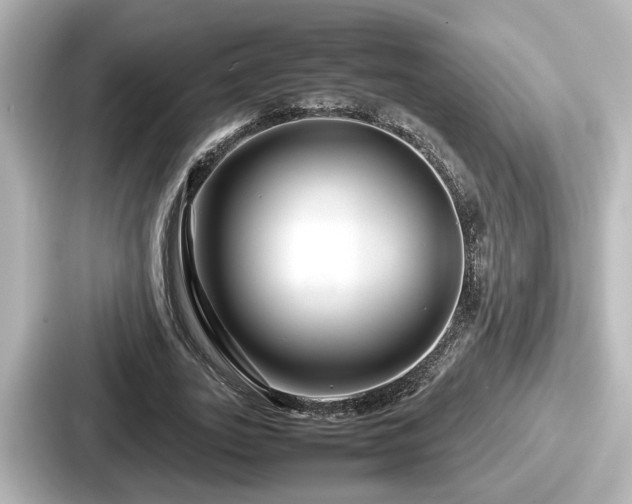 X0000087640727200705101047