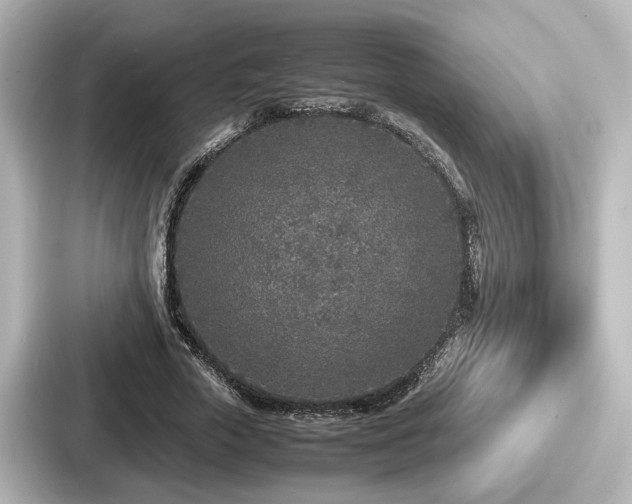 X0000087640729200705101047