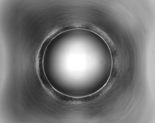 X0000087640730200705101047