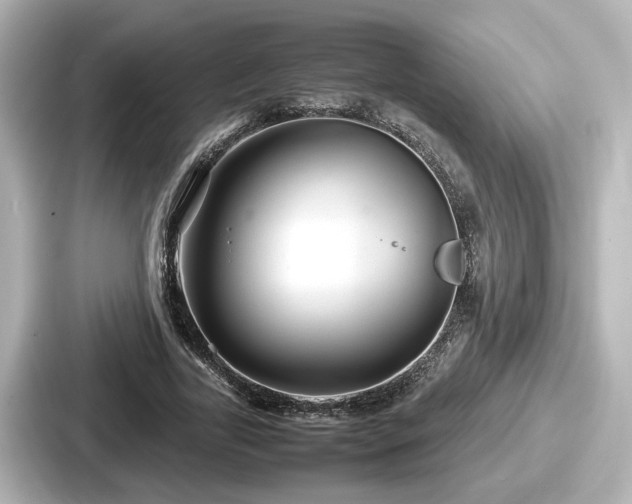 X0000087640731200705101047