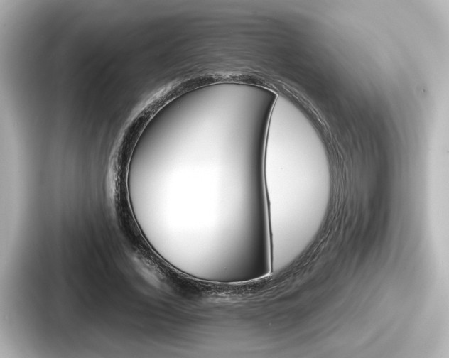 X0000087640732200705101047