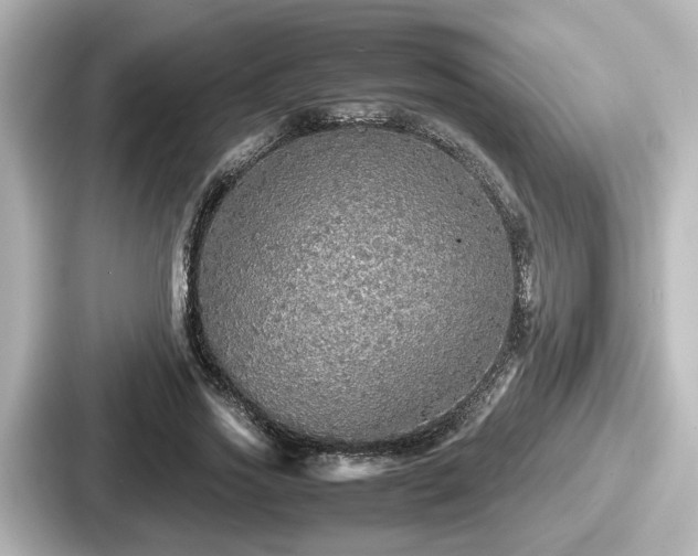 X0000087640733200705101047