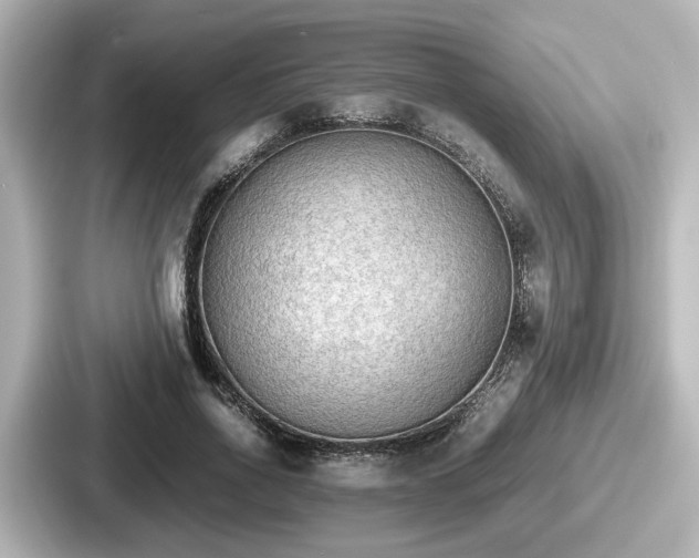 X0000087640734200705101047