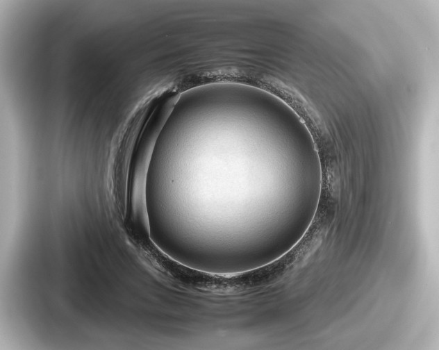 X0000087640735200705101047