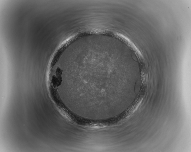 X0000087640736200705101047