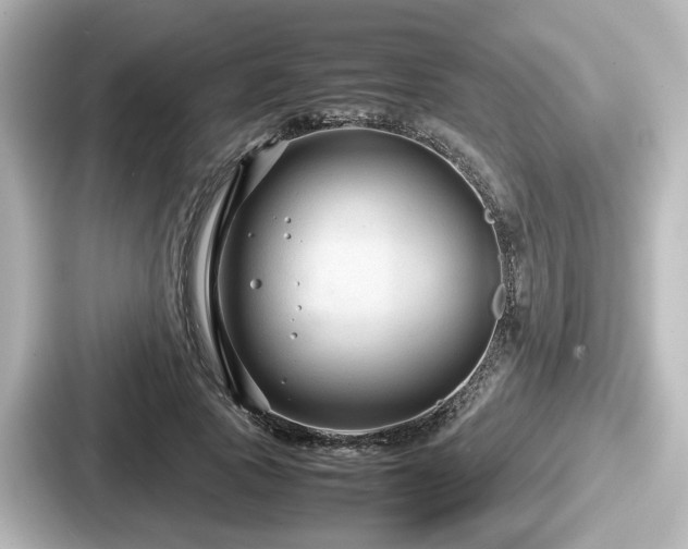 X0000087640737200705101047