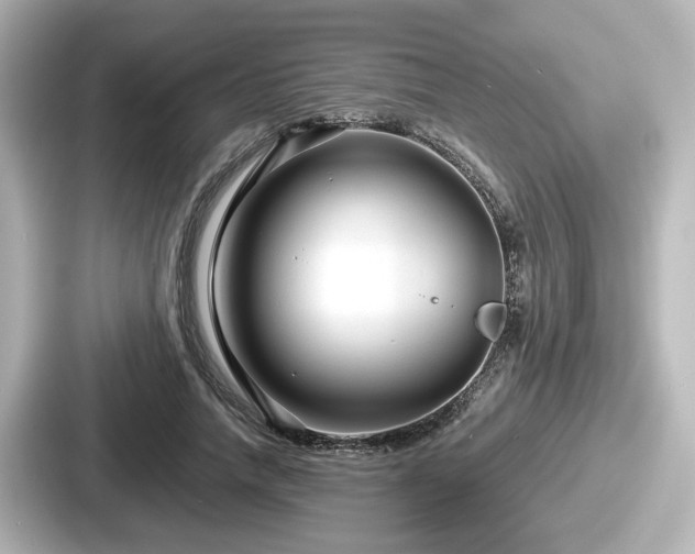 X0000087640738200705101047