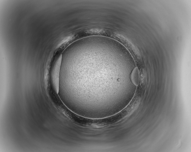 X0000087640739200705101047