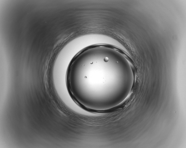 X0000087640740200705101047