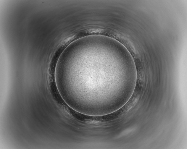 X0000087640743200705101047