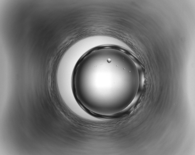 X0000087640744200705101047