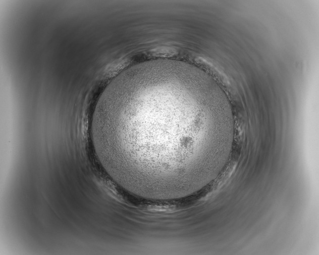 X0000087640745200705101047