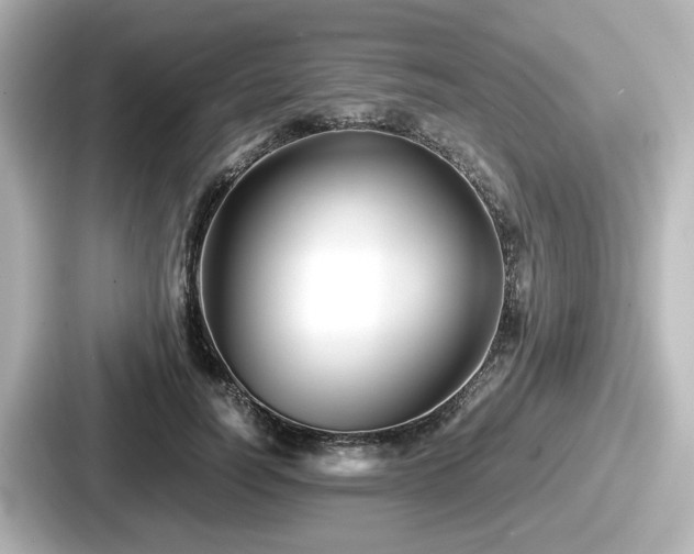 X0000087640746200705101047