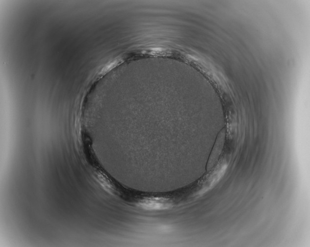 X0000087640748200705101047