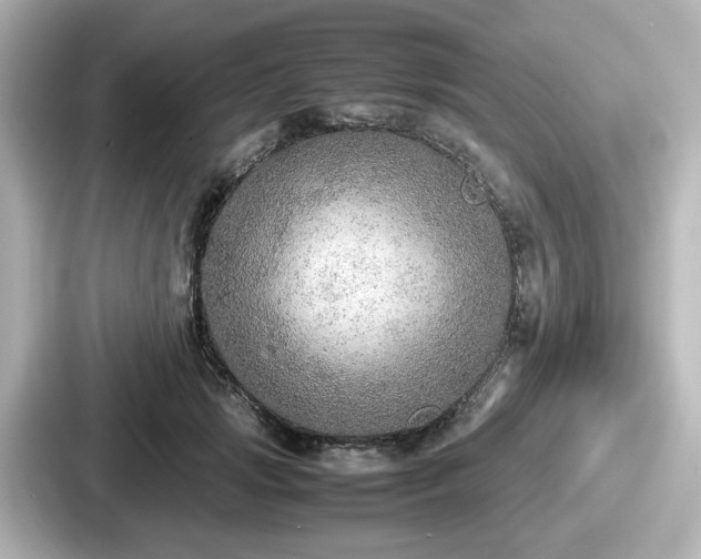 X0000087640749200705101047