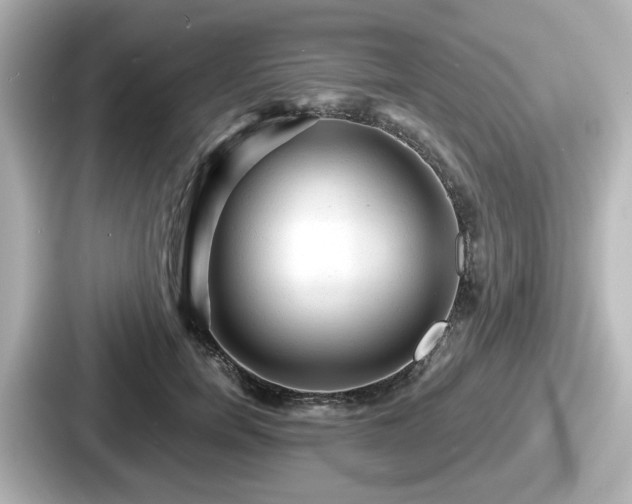 X0000087640750200705101047