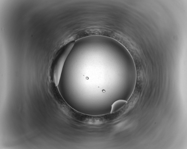 X0000087640751200705101047