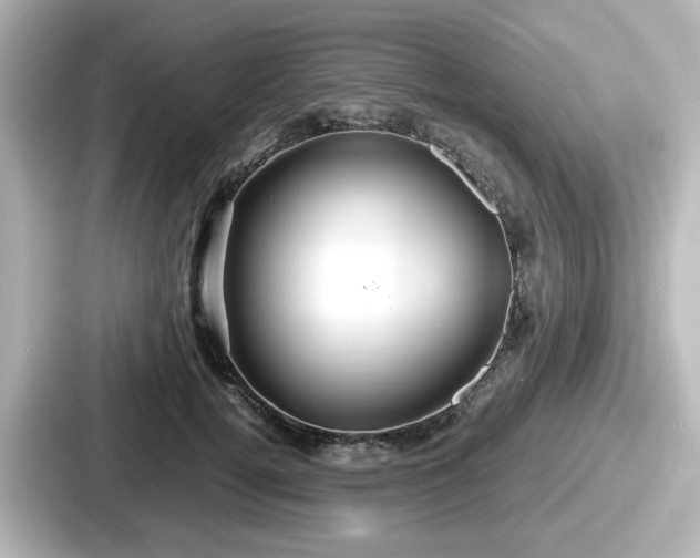 X0000087640752200705101047