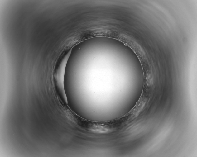 X0000087640753200705101047