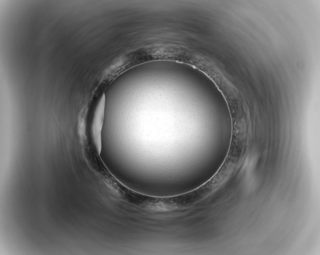 X0000087640755200705101047