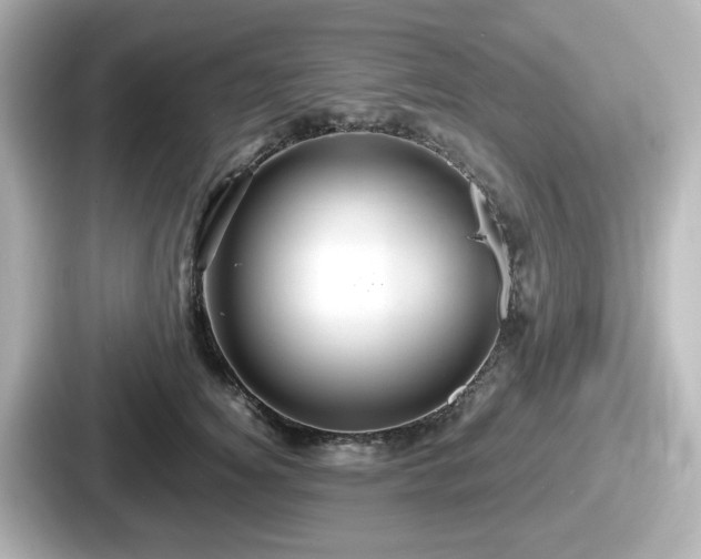 X0000087640756200705101047