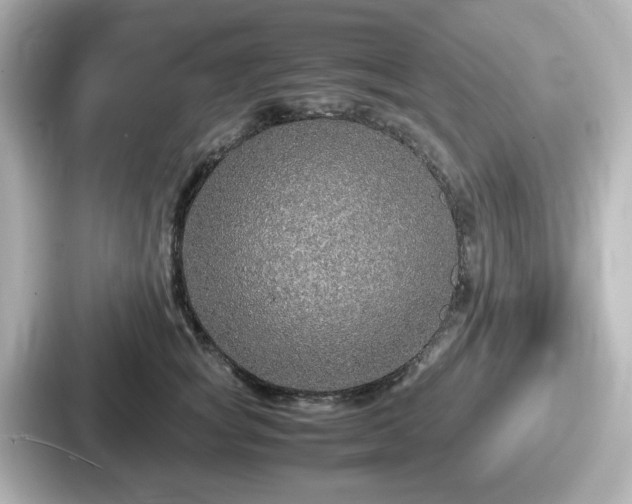 X0000087640757200705101047