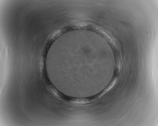 X0000087640758200705101047