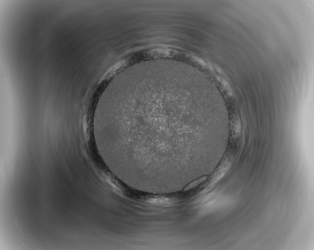 X0000087640759200705101047