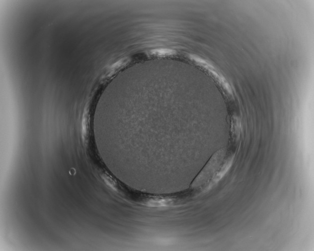 X0000087640760200705101047