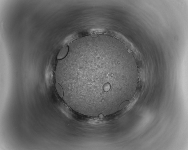 X0000087640761200705101047