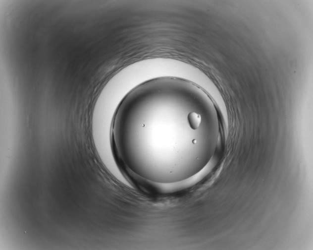 X0000087640762200705101047