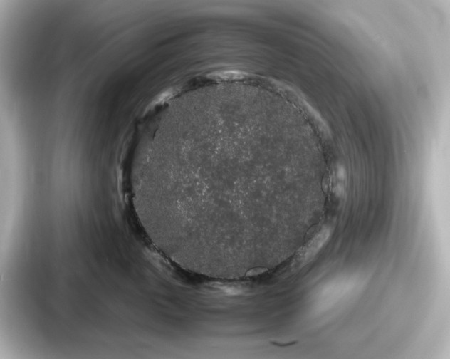 X0000087640763200705101047