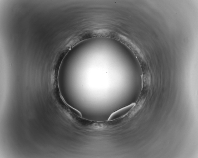 X0000087640764200705101047