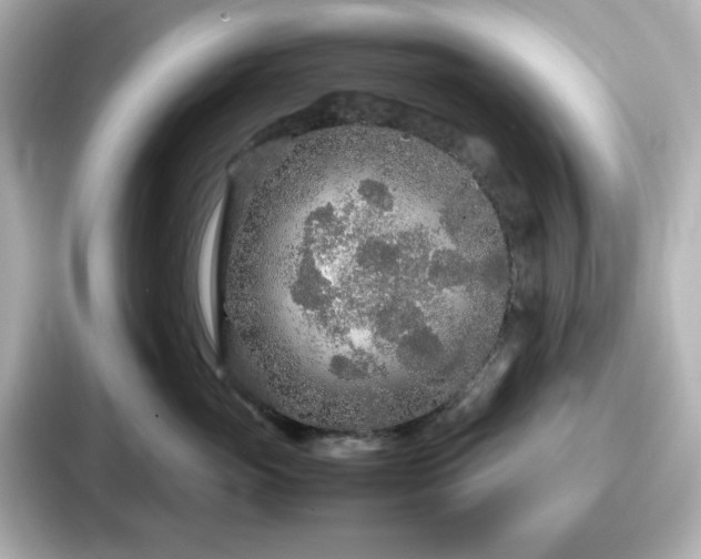 X0000087640765200705101047