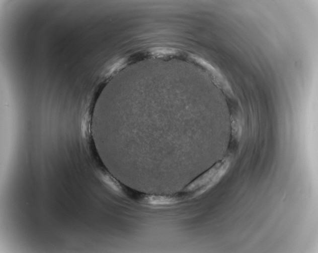 X0000087640766200705101047