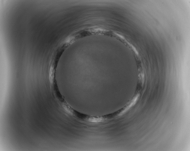 X0000087640767200705101047