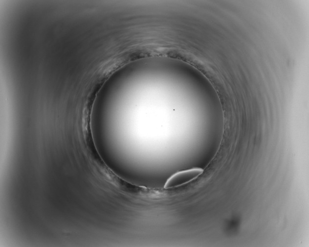 X0000087640768200705101047