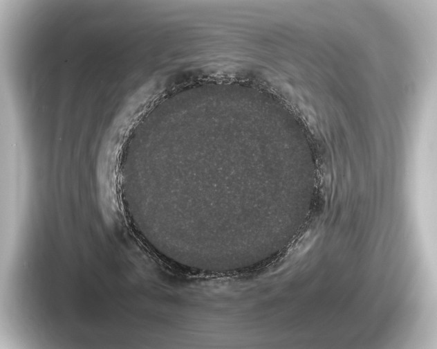 X0000087640769200705101047