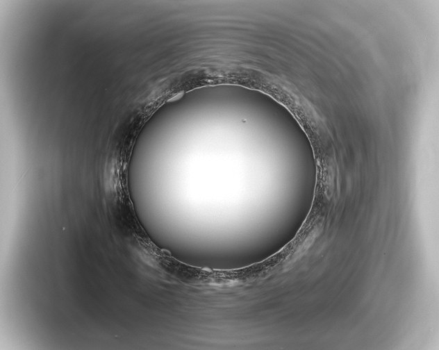 X0000087640770200705101047