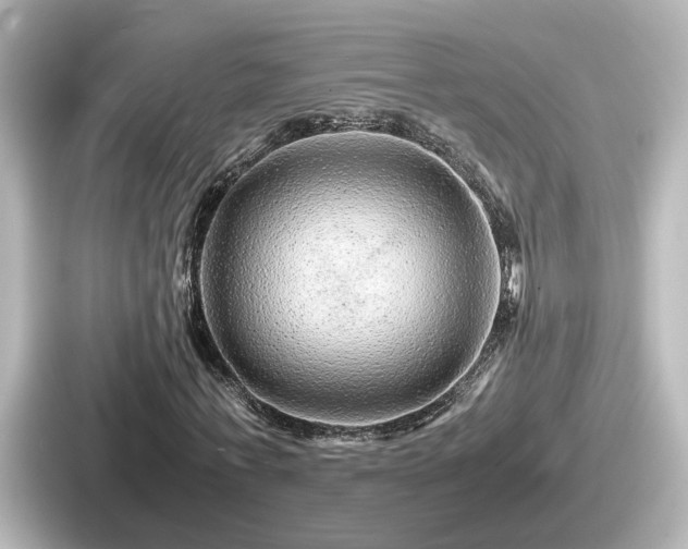 X0000087640771200705101047