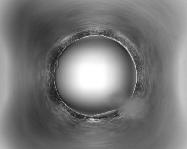 X0000087640773200705101047