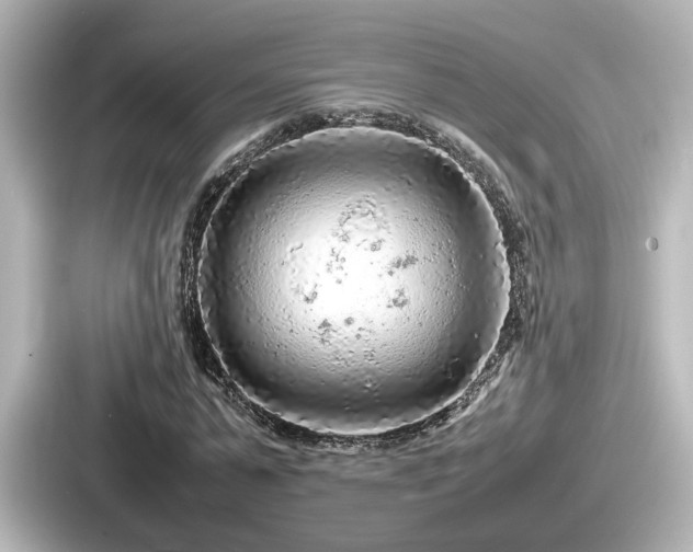 X0000087640775200705101047