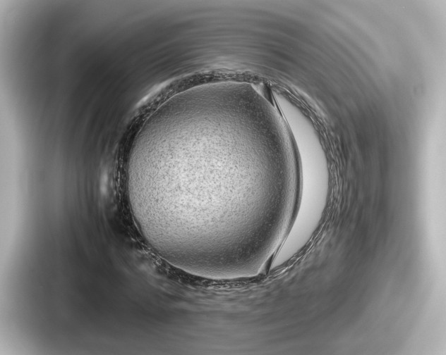 X0000087640776200705101047