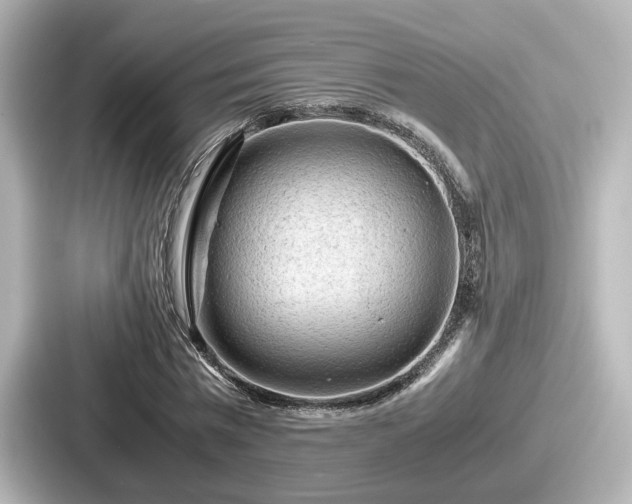 X0000087640777200705101047