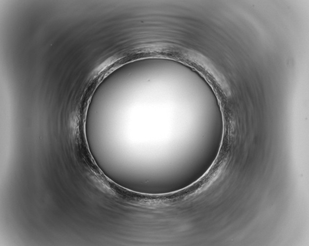 X0000087640778200705101047