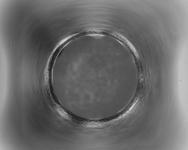 X0000087640779200705101047